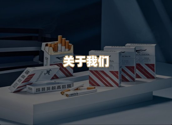 关于蓝帝网